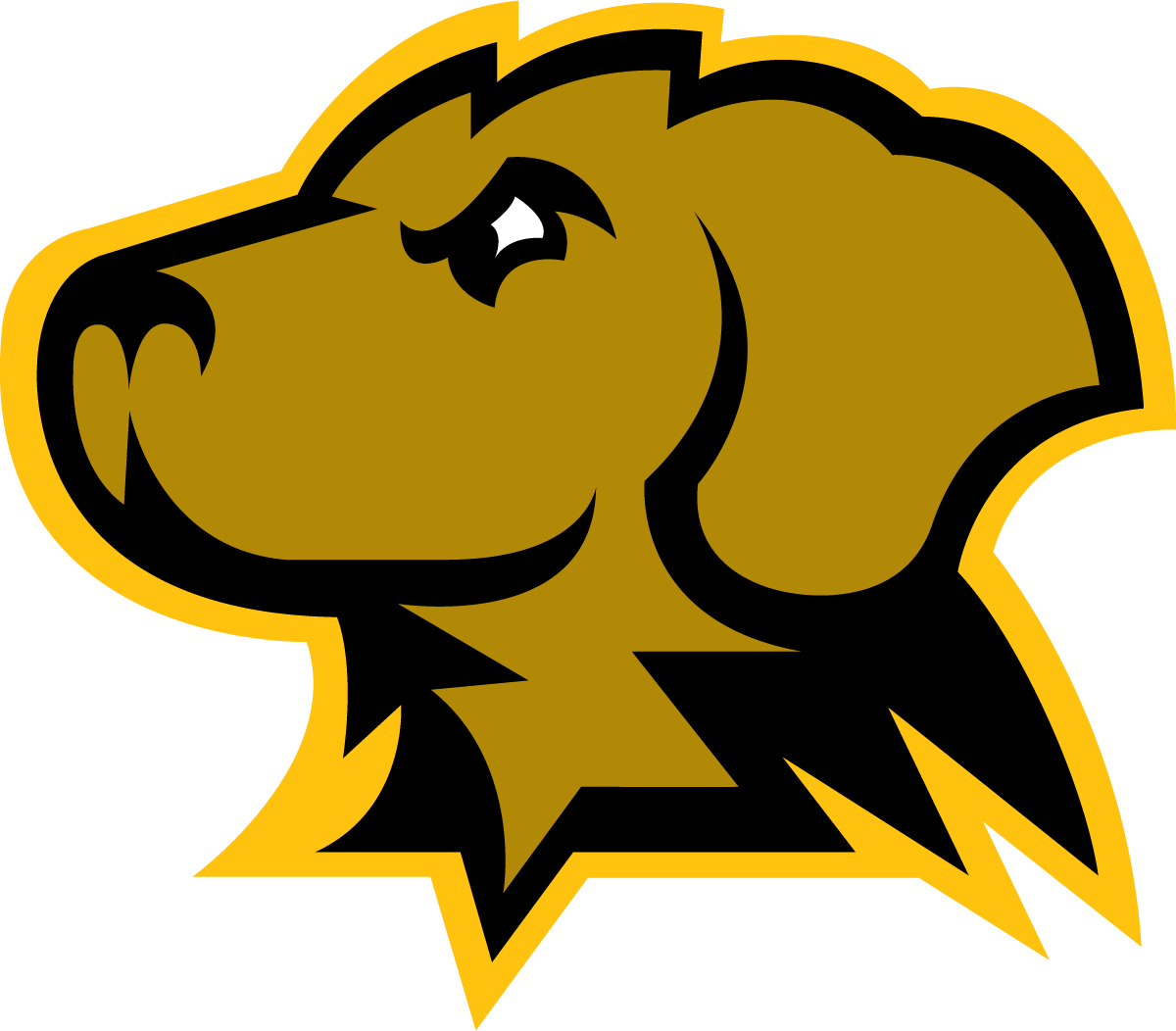 Coach Logo