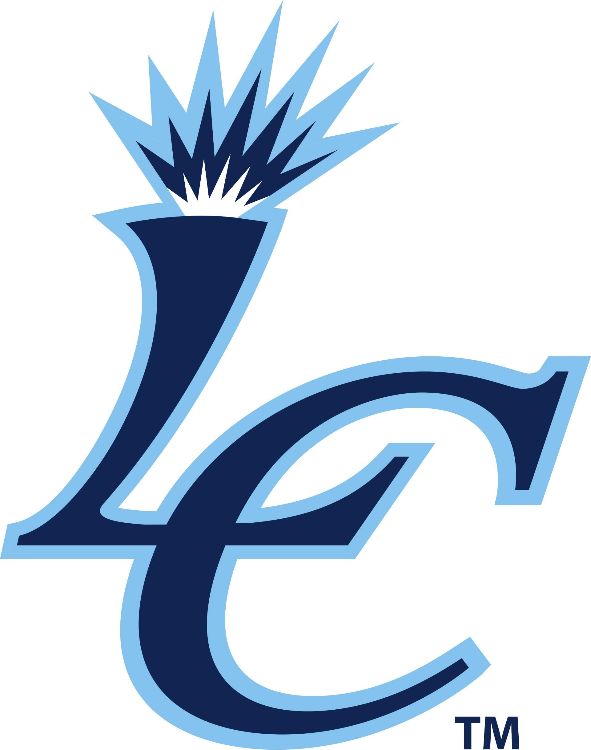 Coach Logo